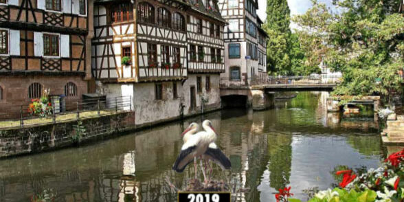 Informations Police 195